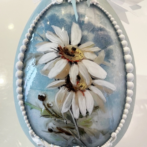 DAISIES